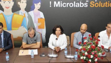 Photo de Accompagnement des TPE : la caravane “Microlabs Solutions” fait escale à Taza, Fès et Meknès