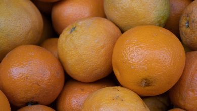 Photo de Exportation d’oranges : le Maroc perd deux places 