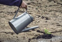 Photo de Sécheresse : vers un nouveau plan d’urgence agricole ?