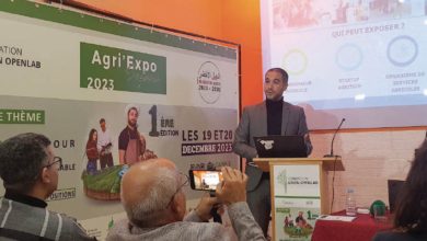 Photo de Sefrou : l’AgriExpo veut faire germer l’innovation au cœur des terroirs