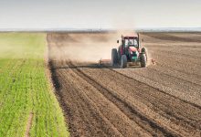 Photo de Campagne agricole : l’impasse se prolonge