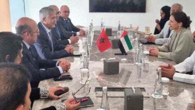 Photo de Secteur agricole : le Maroc et les Émirats Arabes Unis veulent renforcer leur coopération