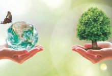 Photo de Biodiversité : le Maroc veut transformer ses engagements en actions