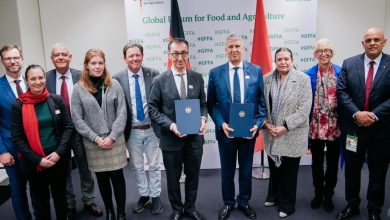 Photo de Sécurité alimentaire : le Maroc promeut la production durable au GFFA