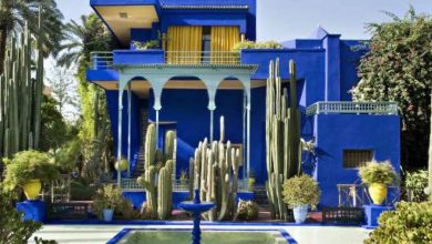 Photo de Marrakech : le Jardin Majorelle fête ses 100 ans