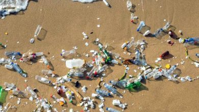 Photo de Pollution plastique : le Maroc accueille un dialogue international