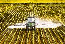 Photo de Pesticides : en Europe, des ONG tirent la sonnette d’alarme