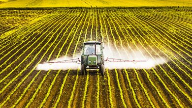 Photo de Pesticides : en Europe, des ONG tirent la sonnette d’alarme