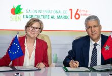 Photo de SIAM : le projet IBTIKAR renforce la coopération Maroc-UE dans l’agriculture et la forestière