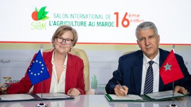 Photo de SIAM : le projet IBTIKAR renforce la coopération Maroc-UE dans l’agriculture et la forestière
