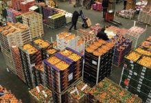 Photo de Denrées alimentaires : le Maroc parmi les principaux clients de l’Égypte