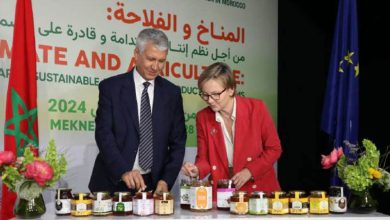 Photo de Apiculture : l’ouverture du marché  européen, une nouvelle ère pour le miel marocain