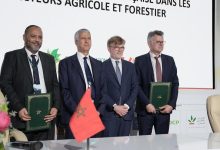 Photo de Renforcement des liens agricoles entre le Maroc et la France au SIAM