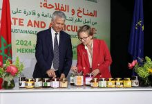 Photo de Exportation de miel : ouverture du marché européen aux apiculteurs marocains