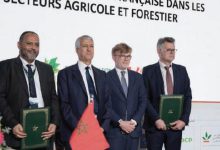 Photo de Transition écologique : 43 MDH pour adapter les filières agricoles et forestières marocaines