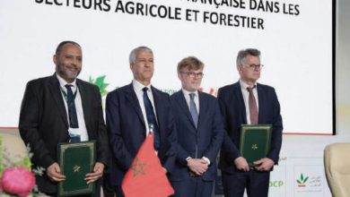 Photo de Transition écologique : 43 MDH pour adapter les filières agricoles et forestières marocaines