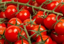 Photo de Tomate cerise : l’origine Maroc pointée dans des supermarchés français