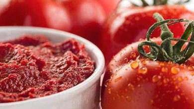 Photo de Tomate concentrée : une petite victoire sur les importations égyptiennes