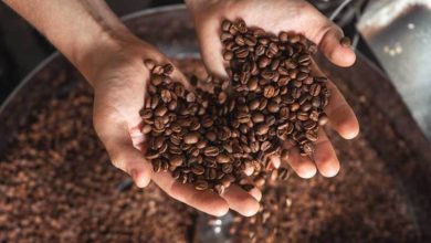 Photo de Café : les torréfacteurs retrouvent le goût