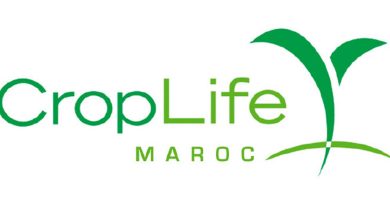 Photo de CropLife Maroc : Mounir Sefiani nommé président