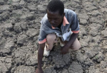 Photo de Climat : en attendant une réponse africaine concrète…