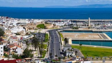 Photo de Tanger-Tétouan-Al Hoceima : le projet “NEXUS” pour impulser l’agriculture régionale