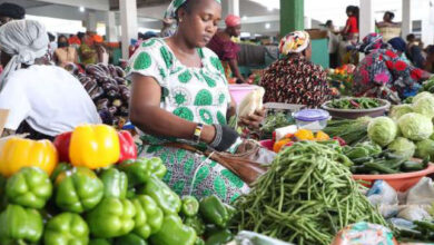 Photo de Sécurité alimentaire : les économies émergentes continueront de tirer les marchés agricoles au cours de la prochaine décennie