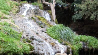 Photo de Ifrane. La nouvelle vie du parc Ain Vittel