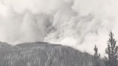 Photo de Canada. Les feux de forêt seront de plus en plus fréquents