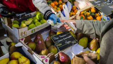 Photo de Zone euro : léger rebond de l’inflation en juillet