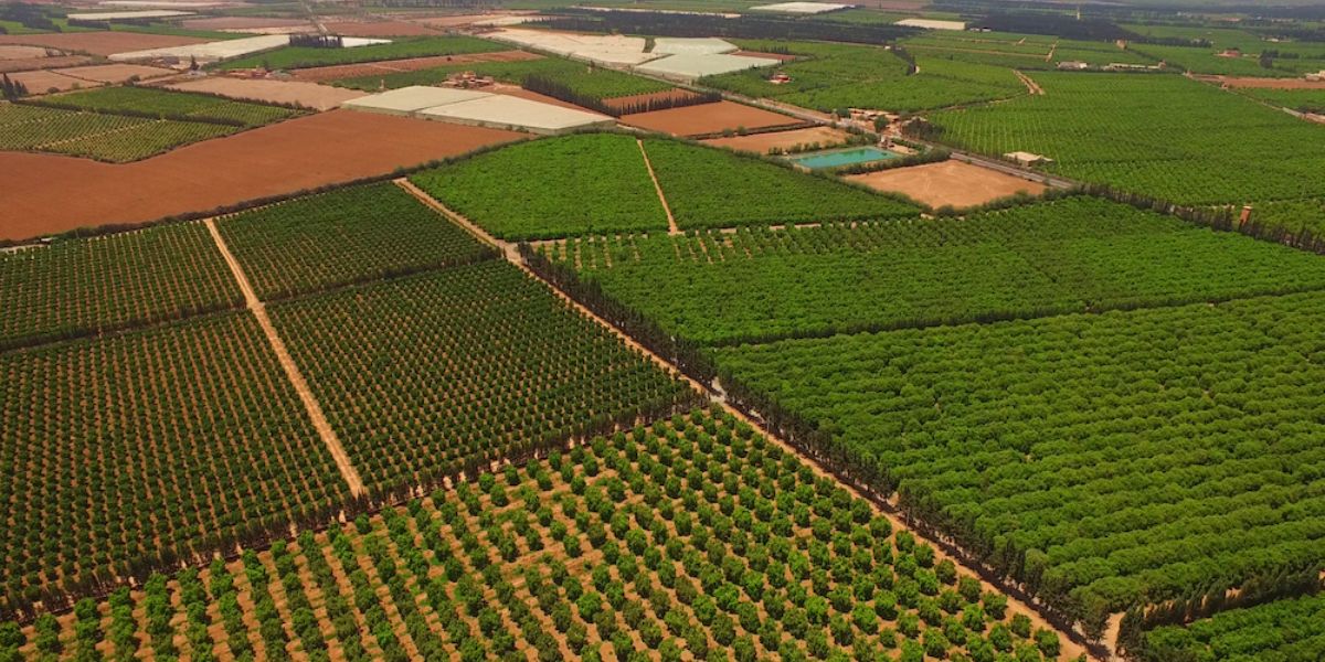 Souss-Massa/Zones agricoles et rurales. 12.000 hectares ciblés par le PADIDZAR