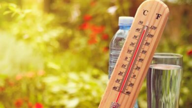 Photo de Changement climatique. Un été de défis pour le Royaume