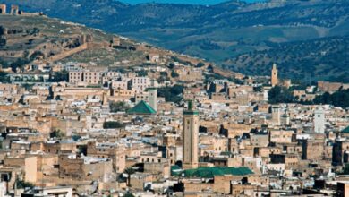 Photo de Fès : bientôt un zoo à Aïn Bida