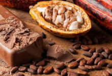 Photo de Fève de cacao : les agriculteurs ivoiriens plaident pour une rémunération plus juste