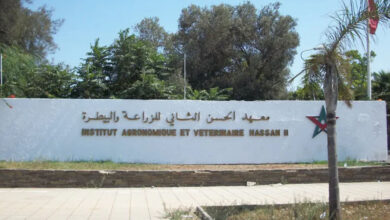 Photo de Institution agronomique et vétérinaire Hassan II : une spécialité en dessalement de l’eau de mer