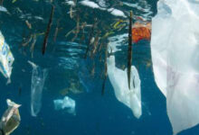 Photo de Environnement : d’où vient le plastique des océans?