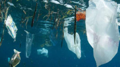 Photo de Environnement : d’où vient le plastique des océans?