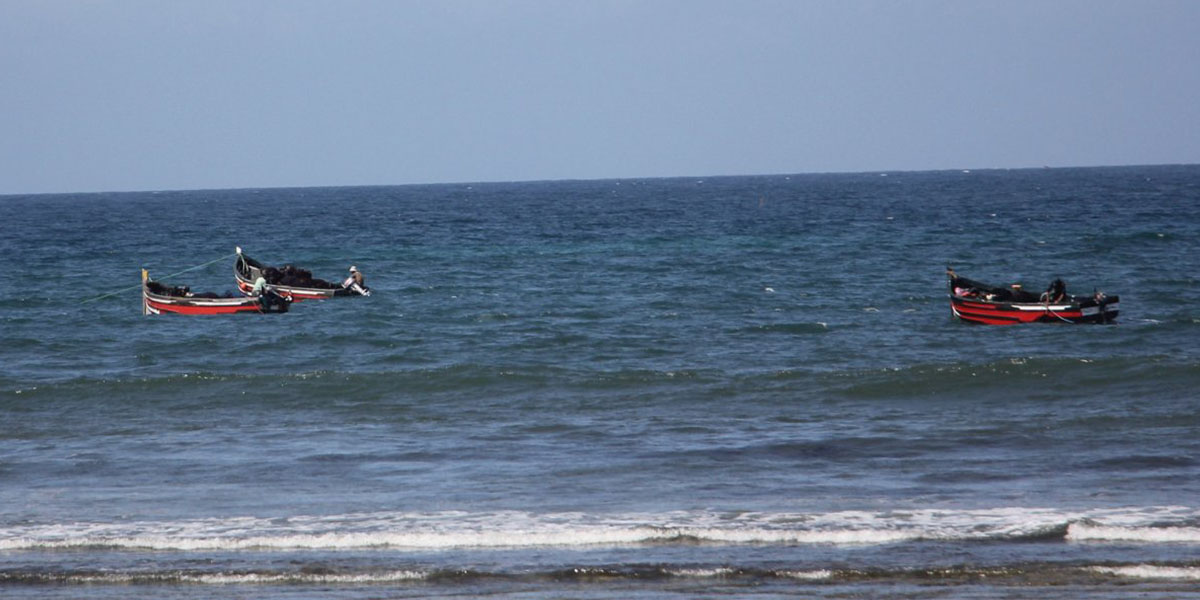 El-Jadida : les algues marines véritable poumon économique de la région