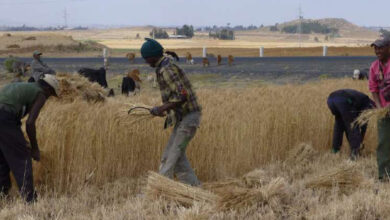 Photo de Climat : profiter des niches et des opportunités