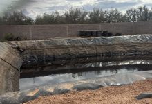 Photo de Bassin hydraulique de l’Oum Er-Rbia : alerte sur les déchets des huileries !