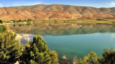 Photo de Biodiversité : le Maroc à la croisée des chemins