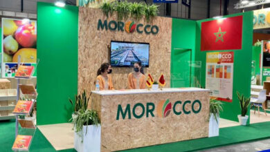 Photo de Morocco Foodex : une plateforme digitale pour booster les exportations dès 2025