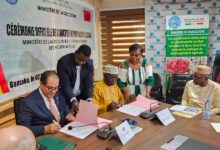 Photo de Agriculture durable : OCP Africa innove au Mali