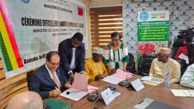 Photo de Agriculture durable : OCP Africa innove au Mali