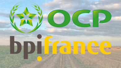 Photo de Décarbonation industrielle : OCP et Bpifrance signent un accord stratégique pour l’Afrique