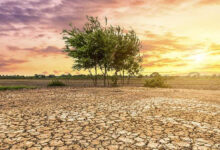 Photo de Stress tests climatiques : un outil stratégique pour renforcer la résilience du secteur financier marocain