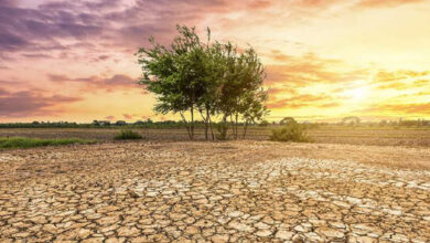 Photo de Stress tests climatiques : un outil stratégique pour renforcer la résilience du secteur financier marocain