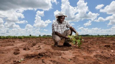 Photo de Afrique : faire du climat une opportunité de développement