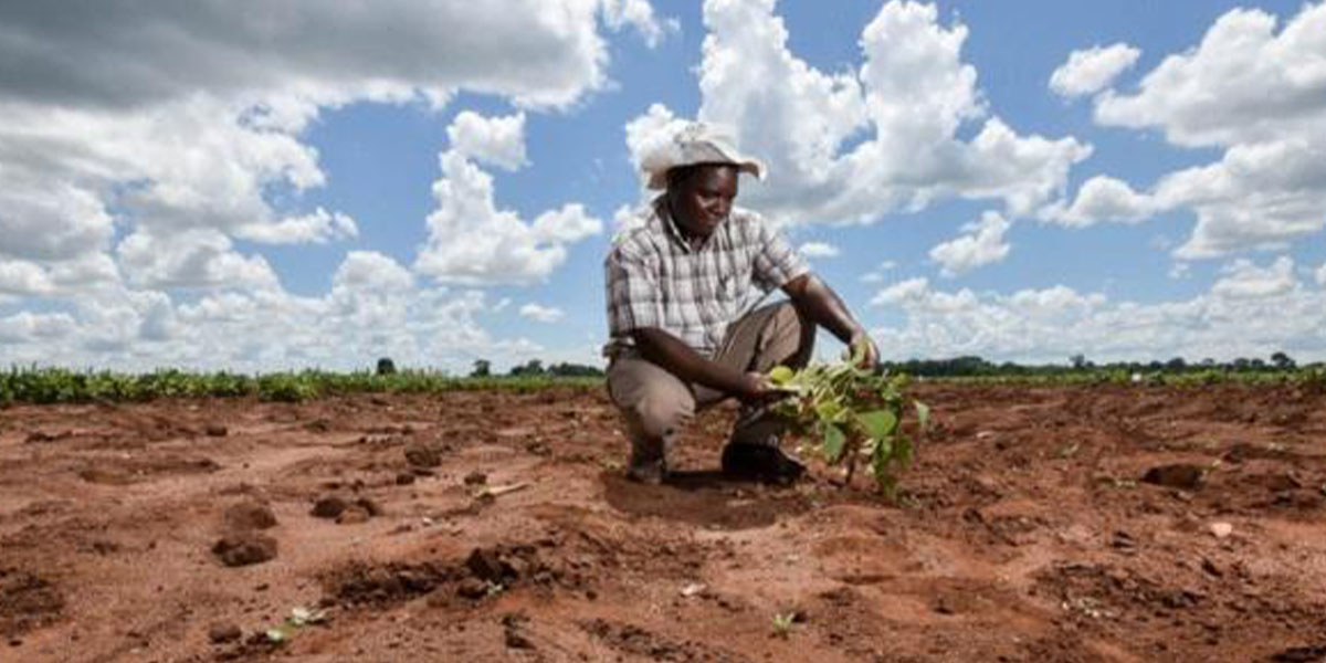 Afrique : faire du climat une opportunité de développement