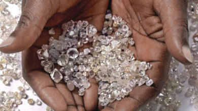 Photo de Botswana : la baisse de la production des diamants impacte la croissance